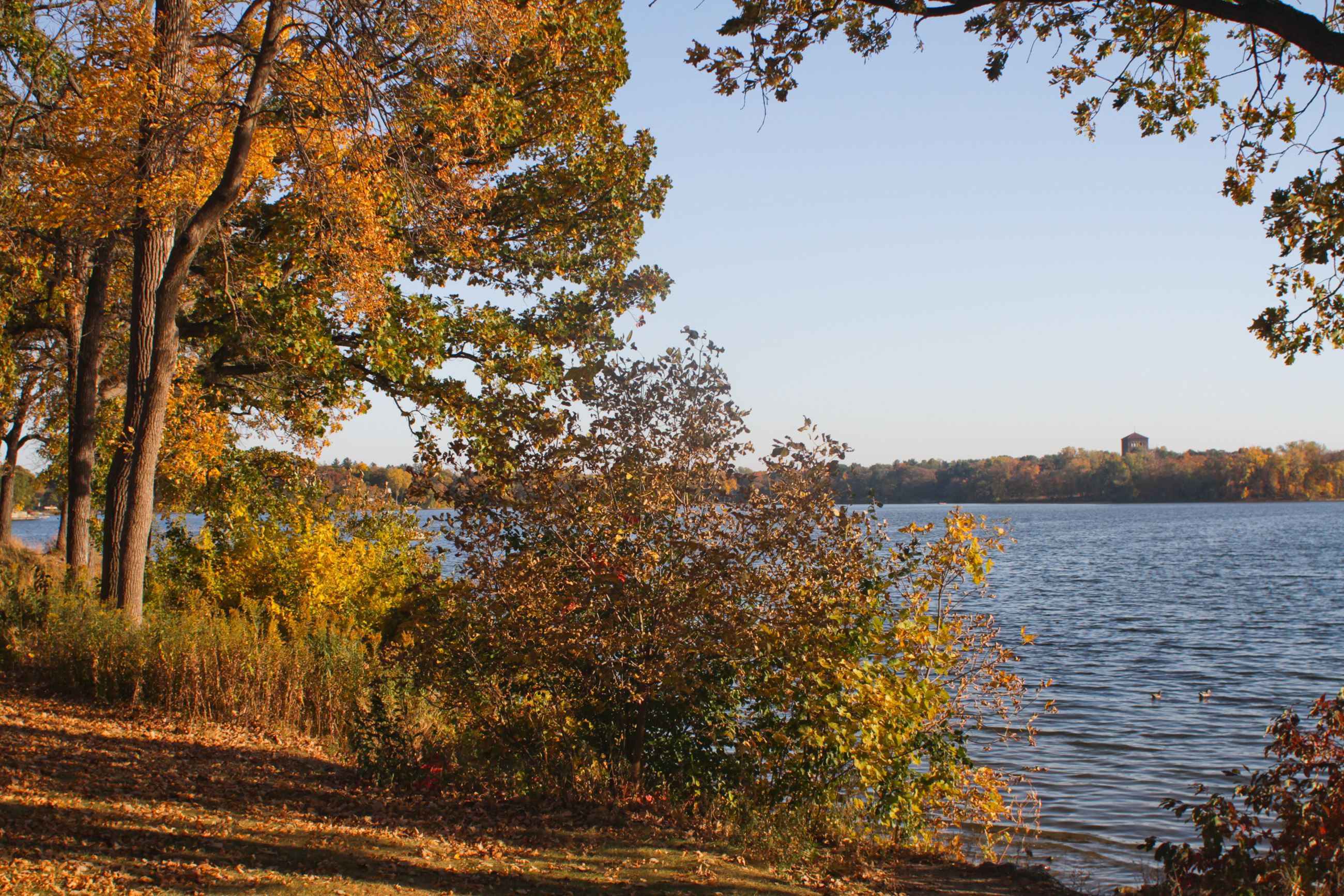 Lake Johanna in the fall 