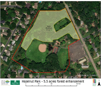 Map of Hazelnut Park with an outline of what the Great River Greening Project will impact.